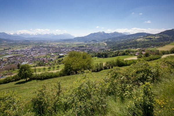 Vom Appenzeller Vorderland ins Rheintal