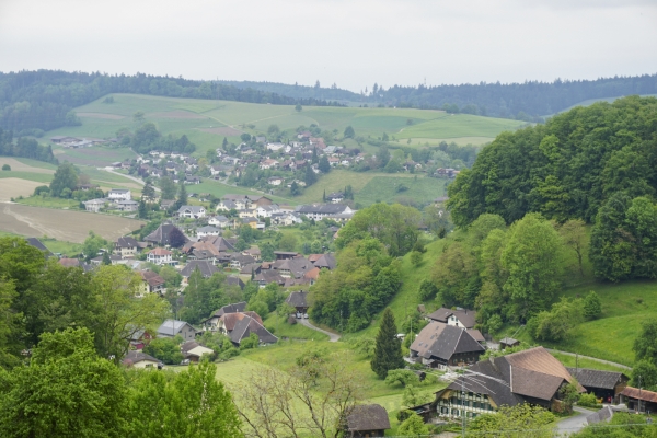 Randonnée enchantée sur le Plateau