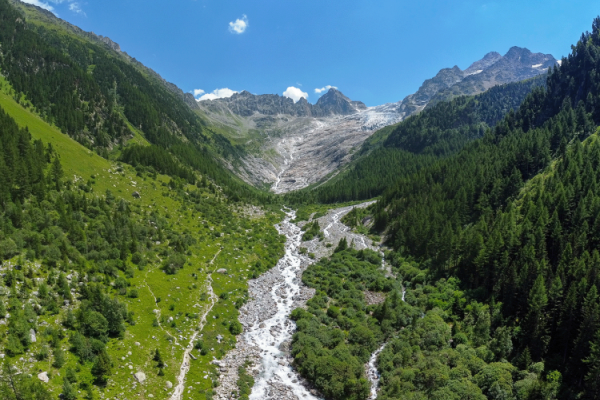 Charlotte  la Marmotte sur le bisse du Trient