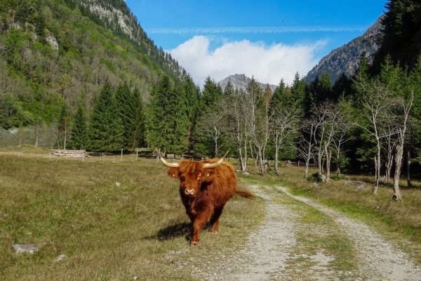 Le long de la Calancasca dans le Parco Val Calanca