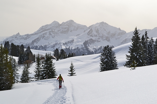 Randonnée ensoleillée aux Monts-Chevreuils