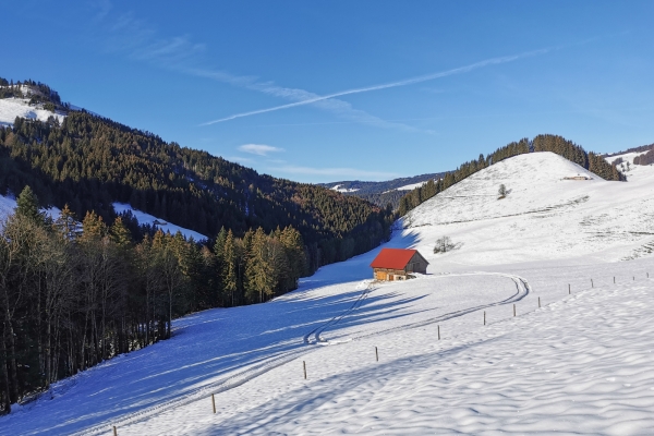 Boucle en raquettes à travers la Gruyère