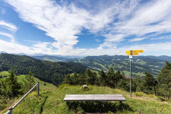 Burgruinen im Toggenburg