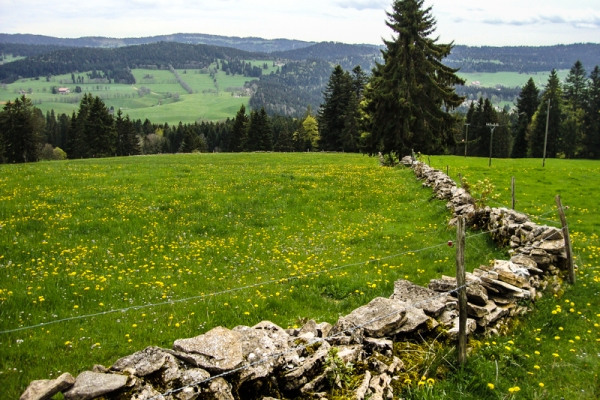 Durch Wälder und Weiden