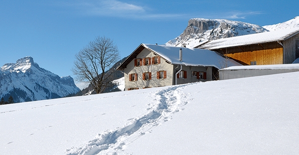 Economie forestière dans l’Entlebuch