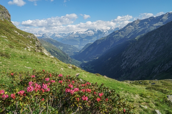 La beauté du haut plateau de Greina