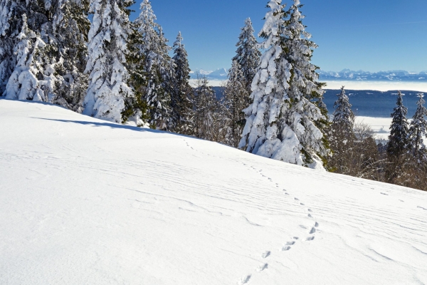 Aussichtsreiche Vue des Alpes