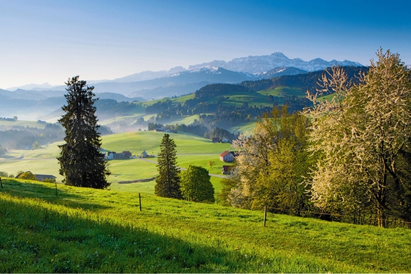 Chemin alpin d’Appenzell