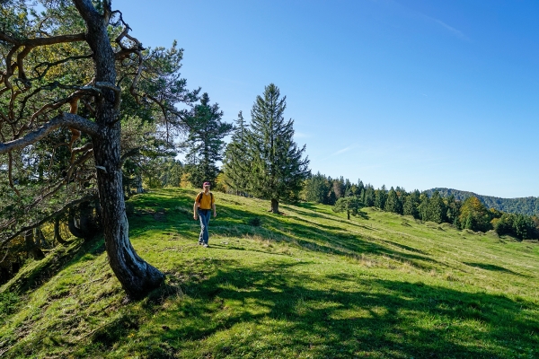 Du côté saint-gallois du Tössbergland