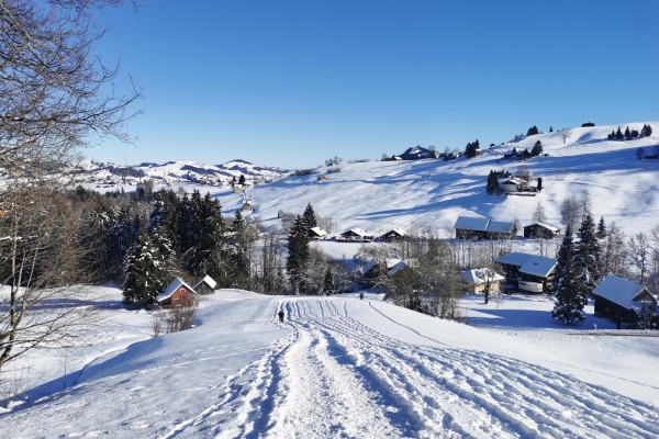 Fermé: Circuit en raquettes dans le Toggenburg