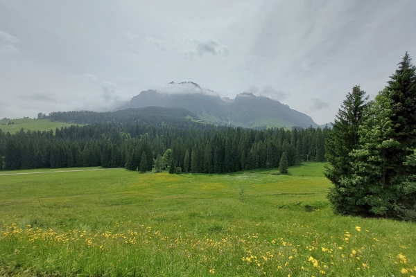 Entre l’Emmental et l’Oberland bernois