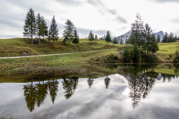 Sites marécageux au col du Glaubenbielen