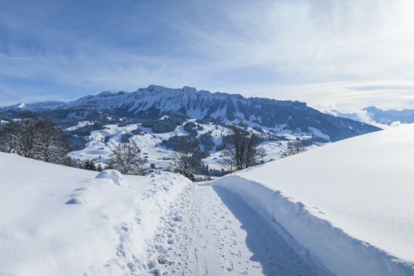 De Heiligenschwendi à Schwanden