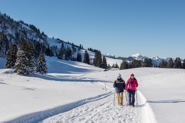 Ein Hauch von Arktis im Toggenburg