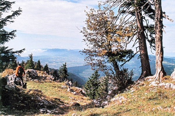 Le long des crêtes