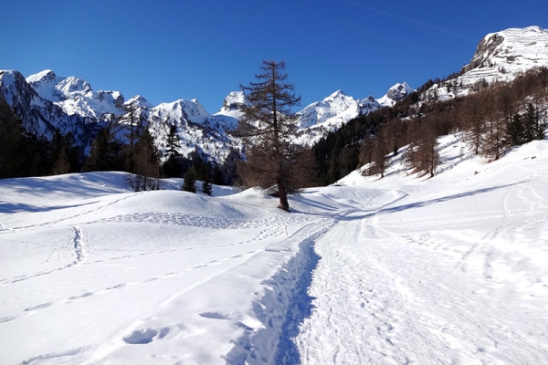 Sur les hauteurs d’Ovronnaz