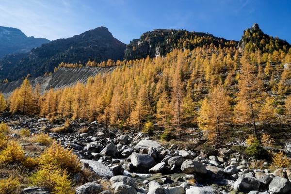 Dans la vallée du glacier de Ried