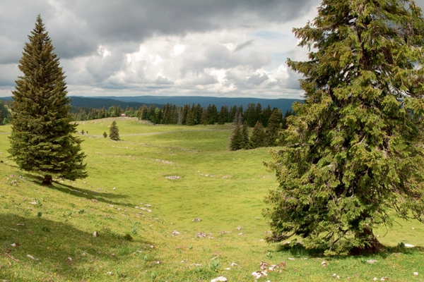 Col du Marchairuz