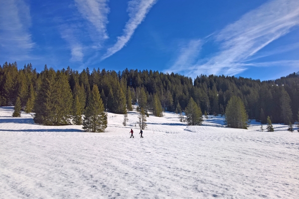 Circuit en raquettes sur le col des Mosses