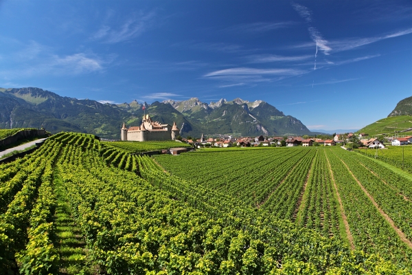 Südliche Wege von Aigle nach Bex