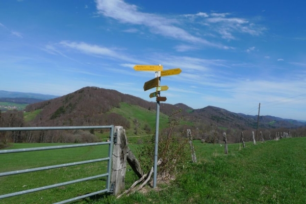 Jurahöhen mit Weitsicht