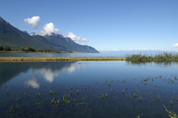 Lacs et tours en bateau 