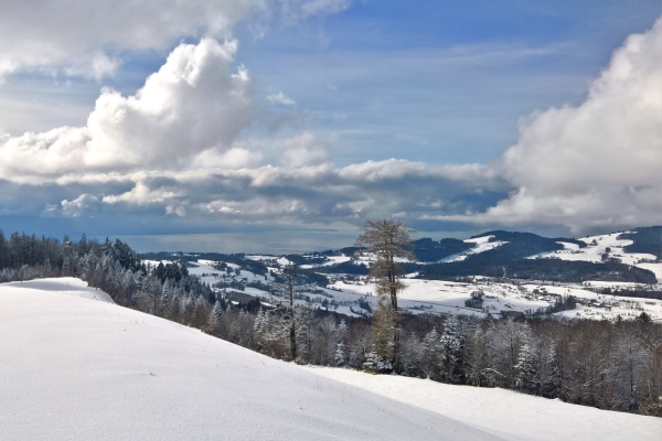 Schneeschuhtour am Mont Pèlerin