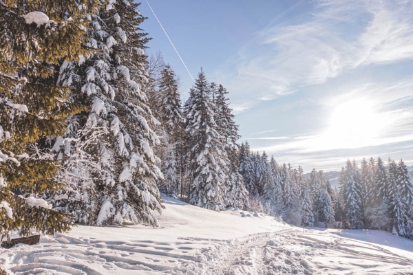 Un conte d’hiver dans les Préalpes fribourgeoises