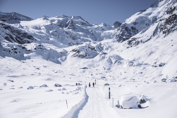 Le glacier de morteratsch: un lieu unique