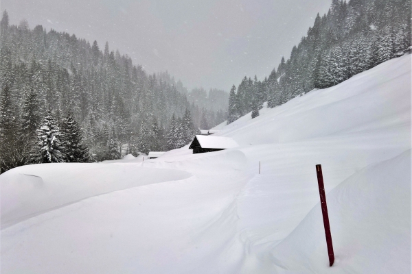 Höhenwege in der Surselva