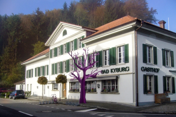 Wanderung zur Buchegger Kyburg