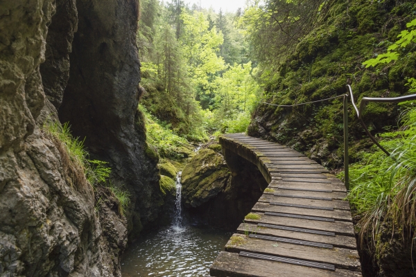 Dem Absinth auf der Spur im Val de Travers