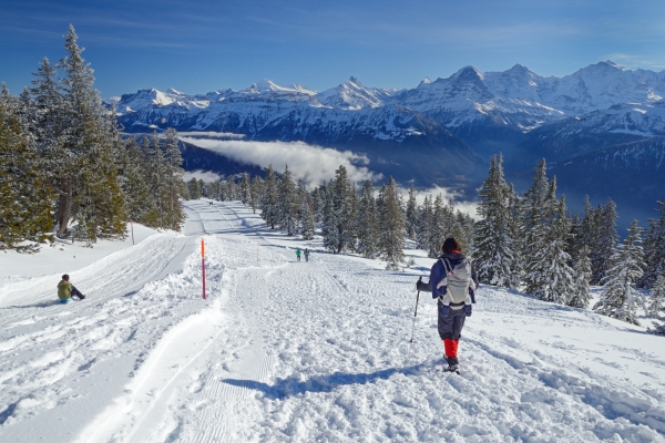 Parcours de raquettes au Niederhorn