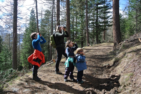 Randonnée à Pontresina