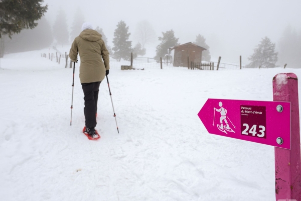 Belles vues lors d'un tour en raquettes dans le Jura