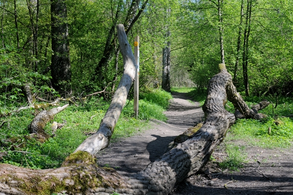 Ode à la nature vers Aarau