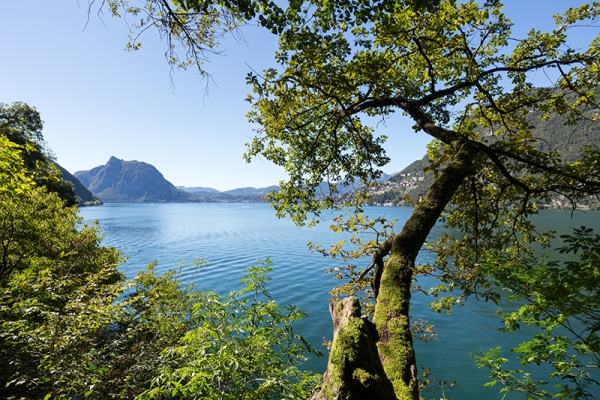 La montagne au bord du lac