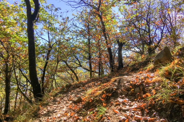 Funambolismo sulla gola di Sementina TI