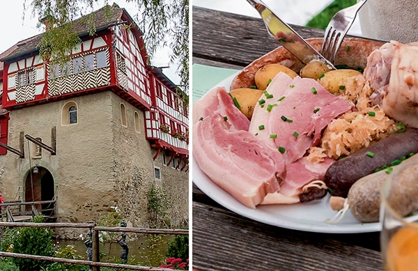 Le Mausacker à Steinebrunn (TG)