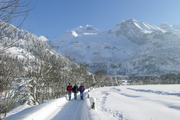 Vue plongeante sur la vallée du Kandertal