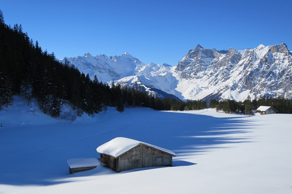 Winterzauber an der Sonne