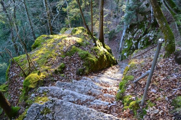 À la découverte du Jura neuchâtelois