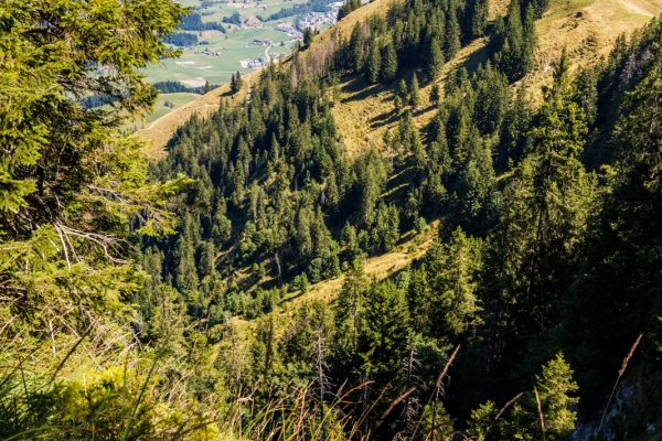 Randonnée à la Beichle