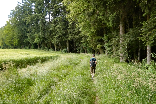 Le panoramiche colline di Herzogenbuchsee