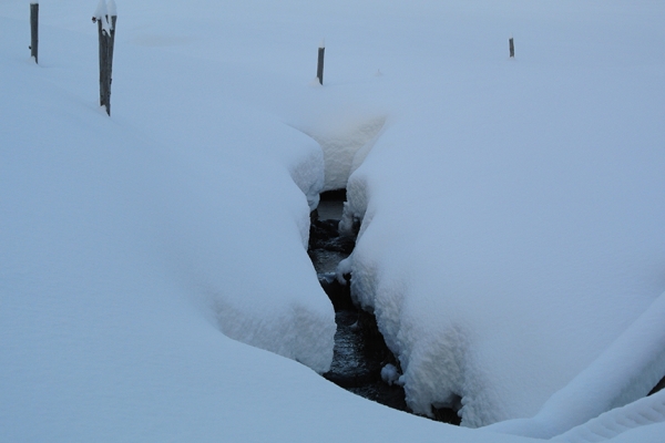 Féerie hivernale à Preda