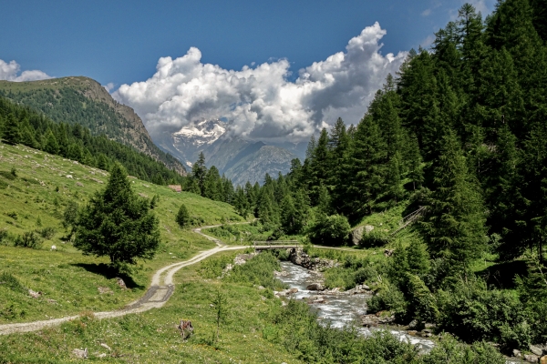 Dans la nature sauvage du Haut-Valais