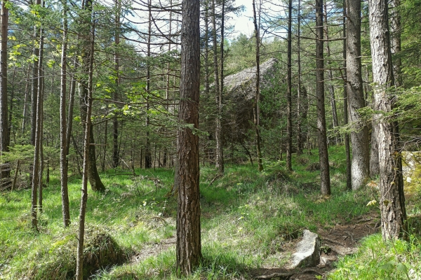 Dans la région de l’éboulement de Goldau