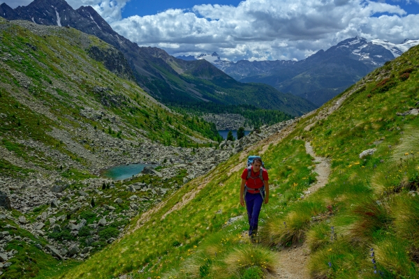 Un paradis floral tout près de la frontière