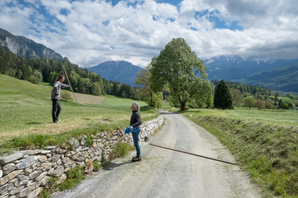 Balade contemplative dans le Domleschg