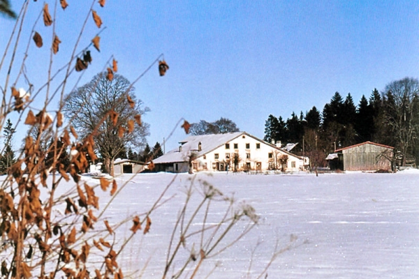 Découvrir les Franches-Montagnes en hiver